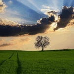 Achtergrondfoto landschap omgeving Grijpskerk