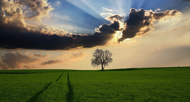 Achtergrondfoto landschap omgeving Grijpskerk